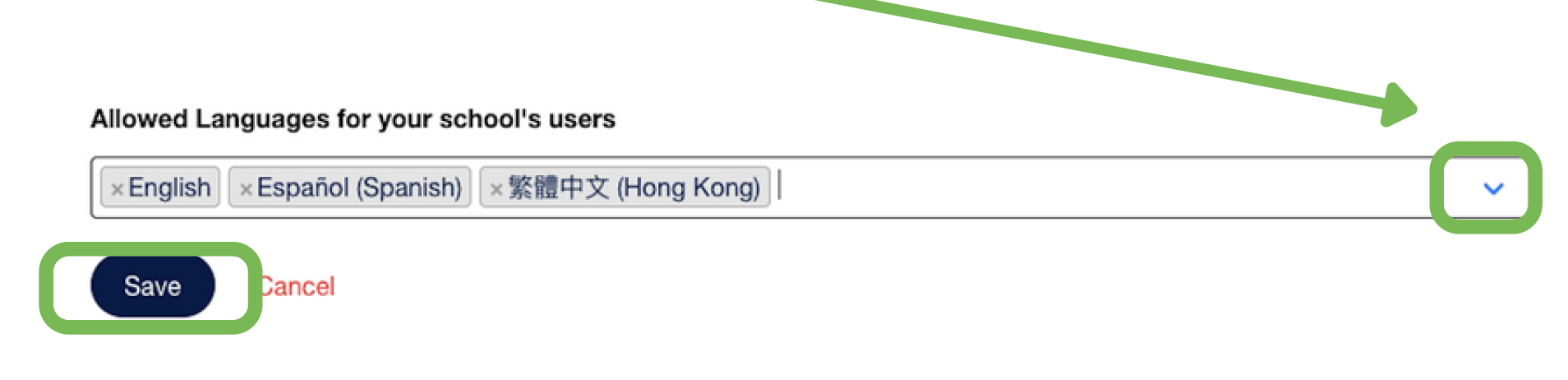 Language DropDown.png